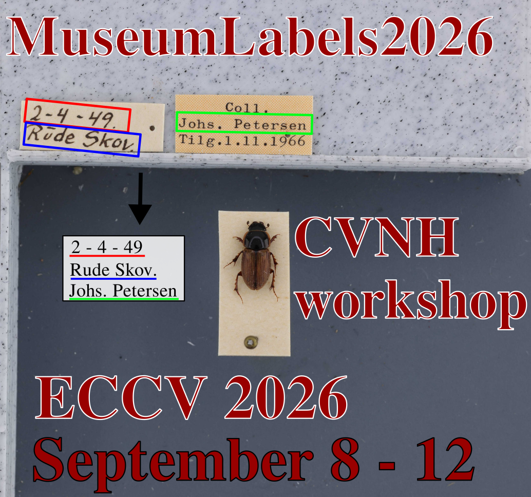 Museum labels