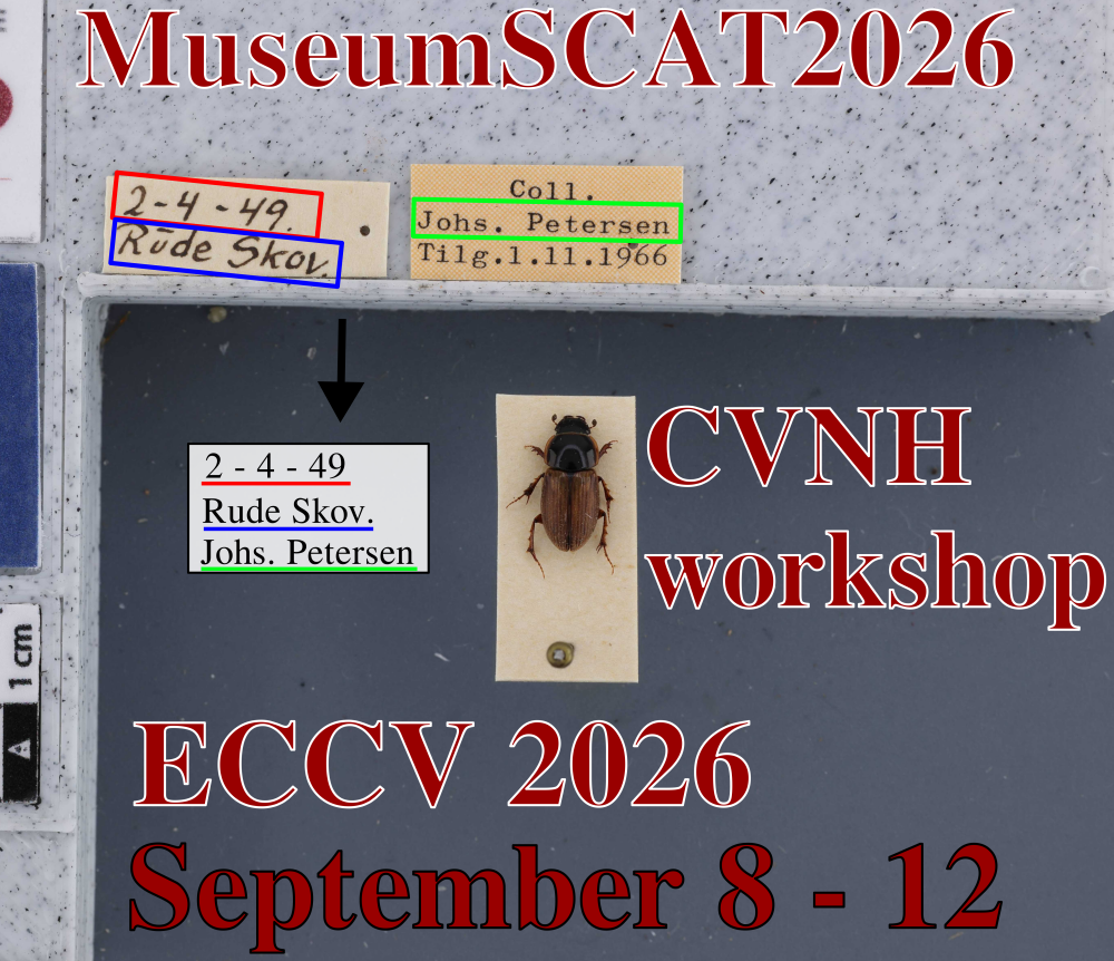 Museum labels